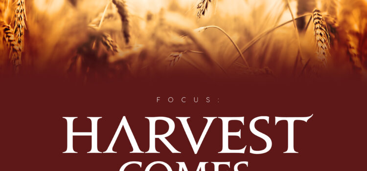 Harvest comes