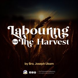 LABOURING FOR THE HARVEST – Bro. Joseph Ukam