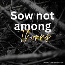 sow not among thorns