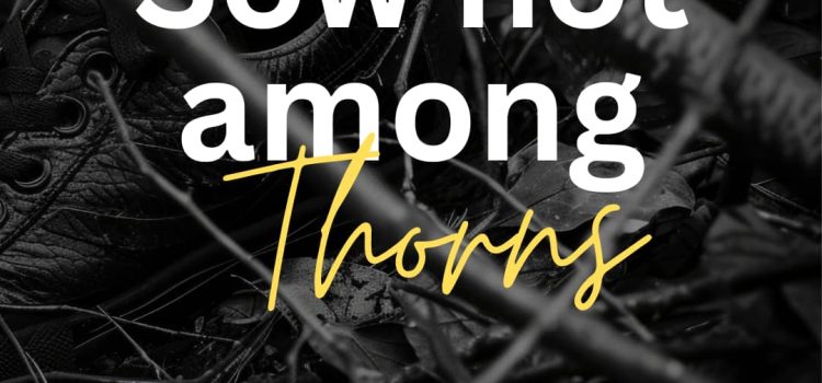 Sow not among thorns by Clinton David